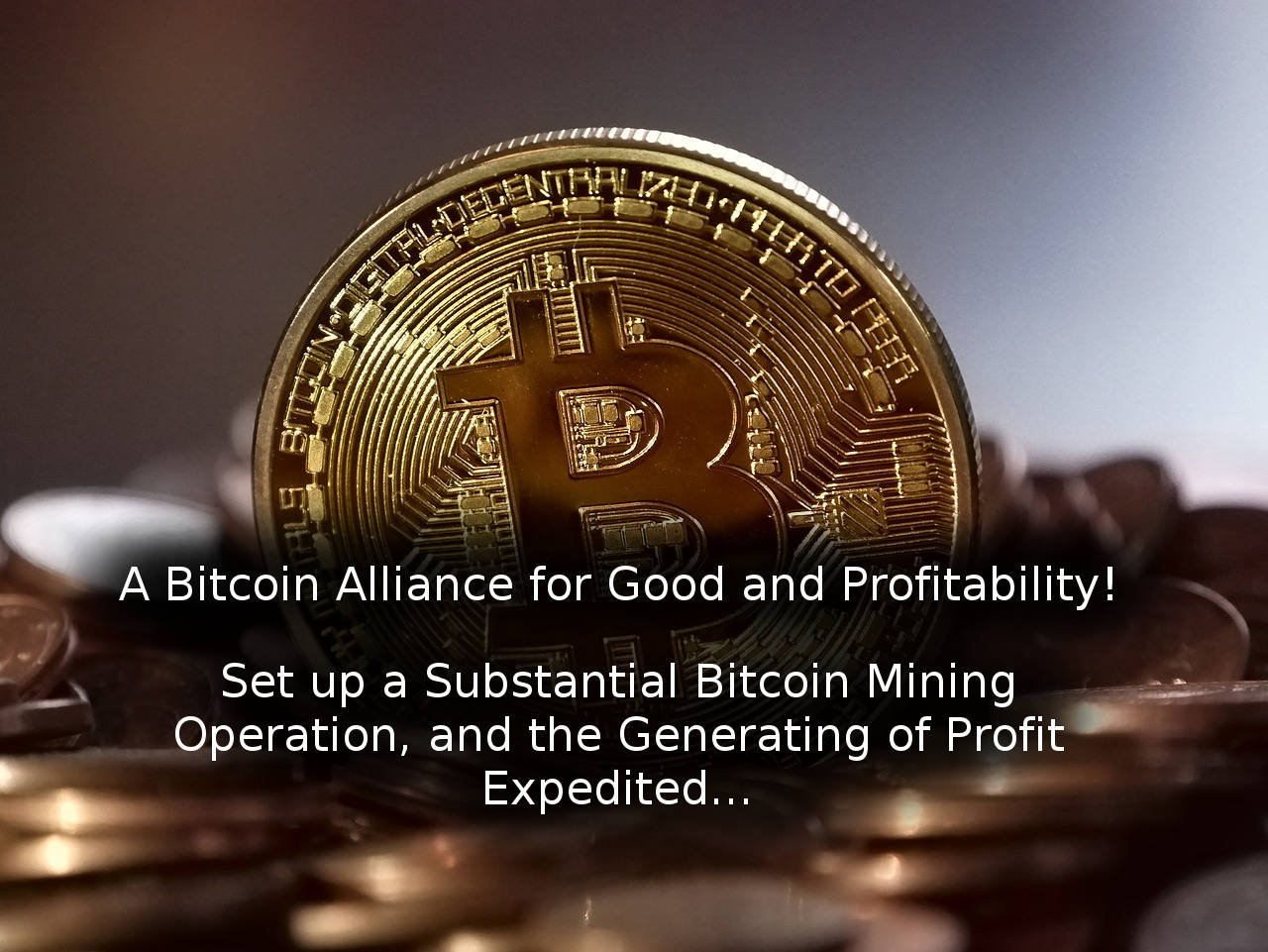 bitcoin alliance